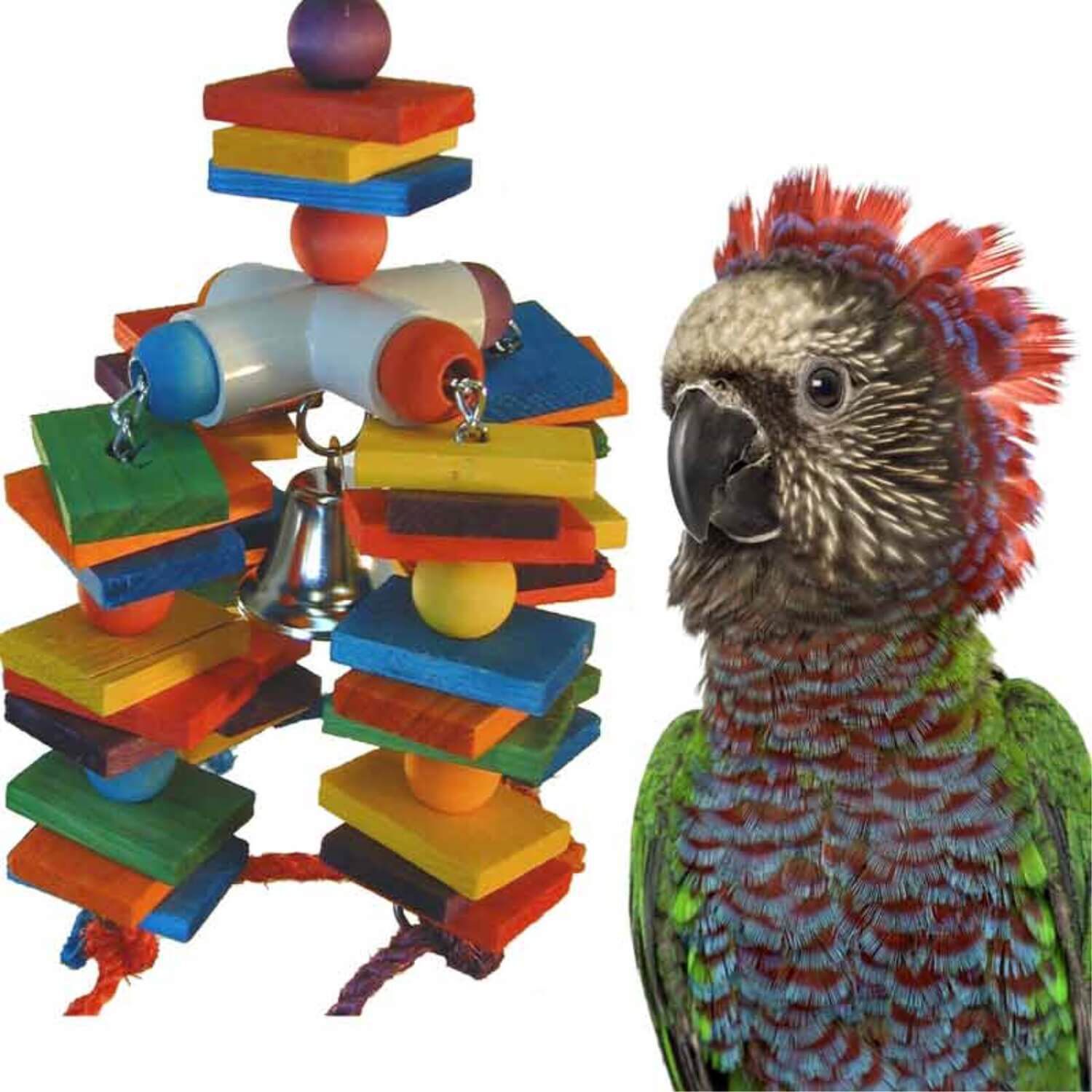 Bird creations shop