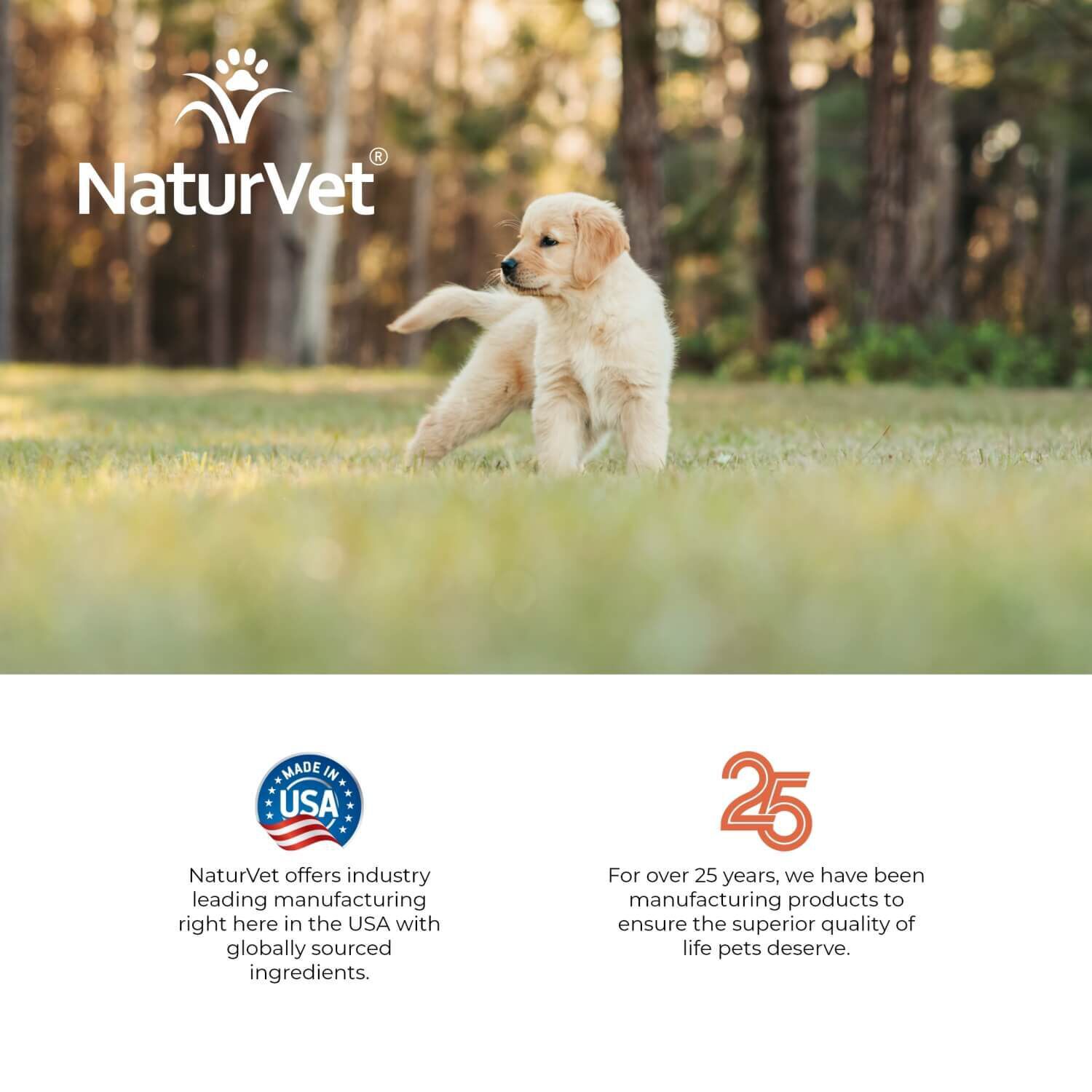Naturvet Potty Here Dog Training Aid