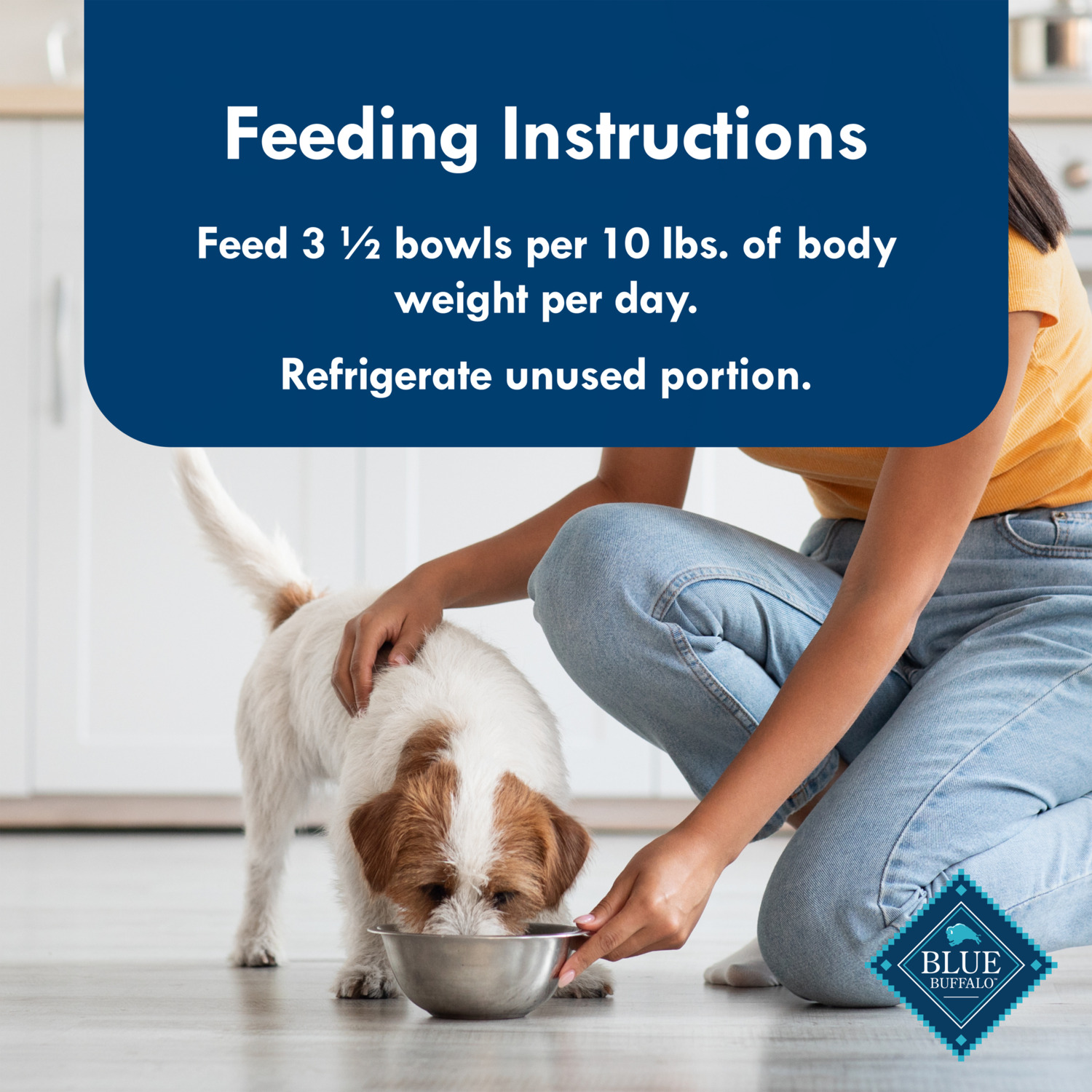 Blue Buffalo Blue Divine Delights Small Breed Natural Wet Dog Food, Prime Rib Flavor In Hearty Gravy, 3.5-Oz