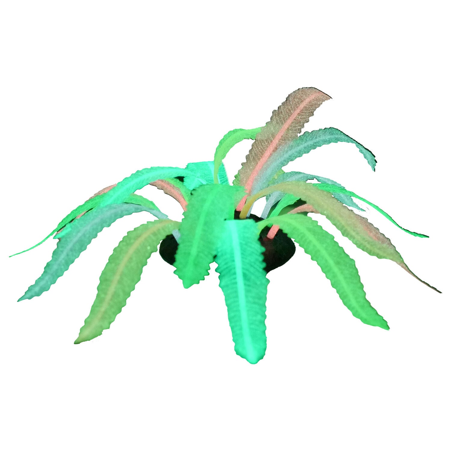Penn-Plax Tide & Treasure Silicone Sea Anemone Aquarium Decor