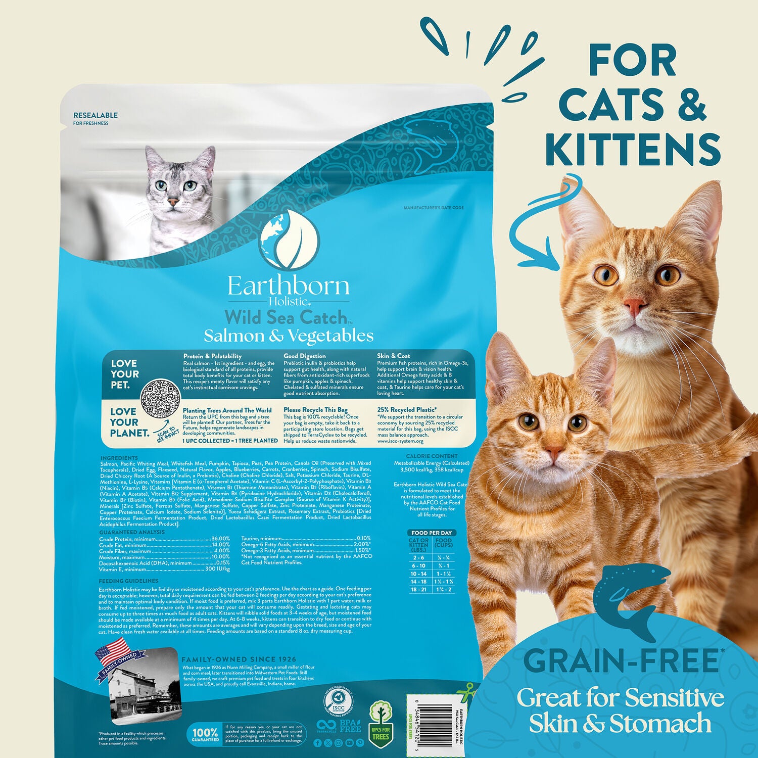Earthborn Holistic Grain-Free Indoor Formula Dry Cat Food, Wild Sea Catch - Salmon & Vegetables Recipe, 12.5-Lb