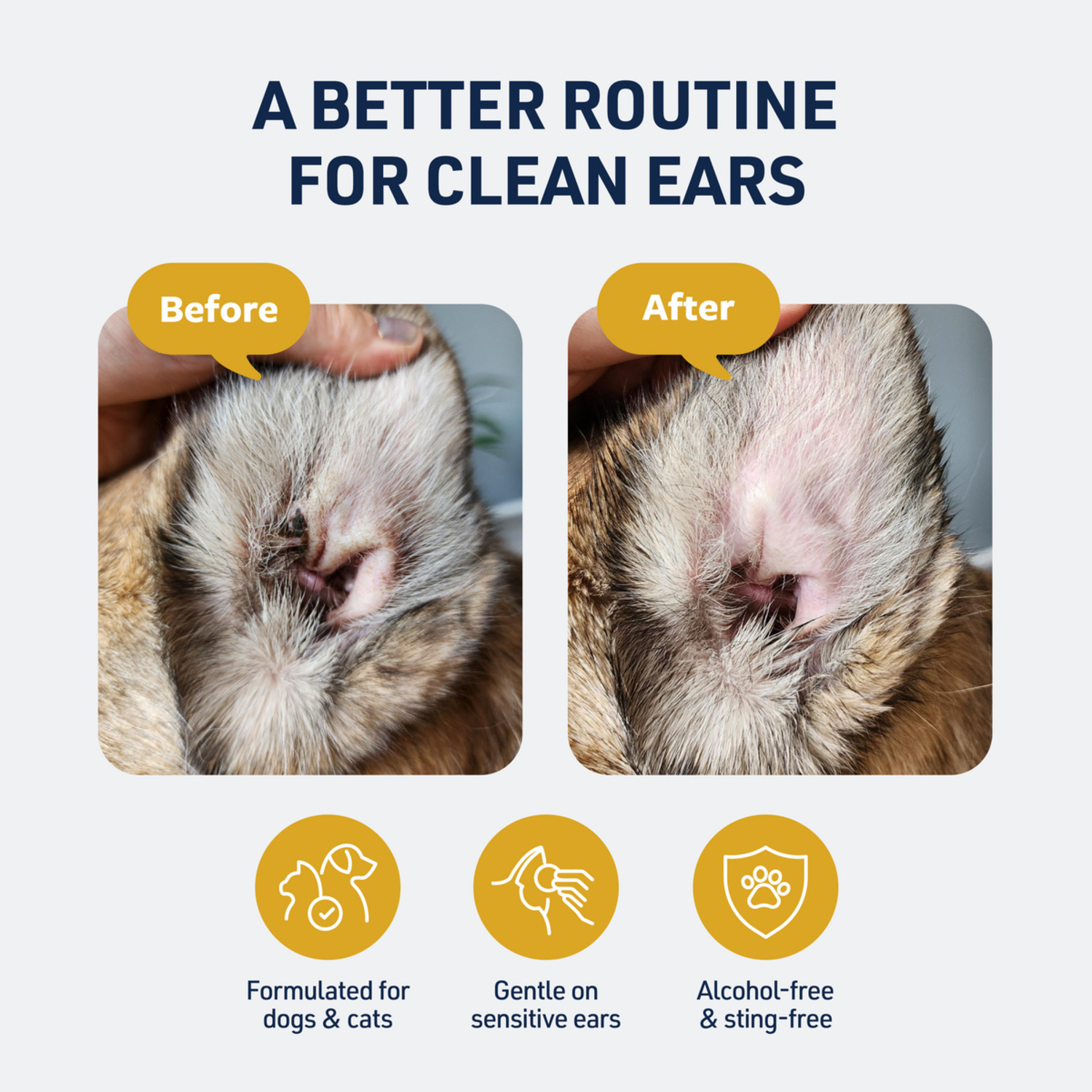 Veterinary Formula Clinical Care Ear Therapy Dog & Cat Ear Wipes, 100-Ct