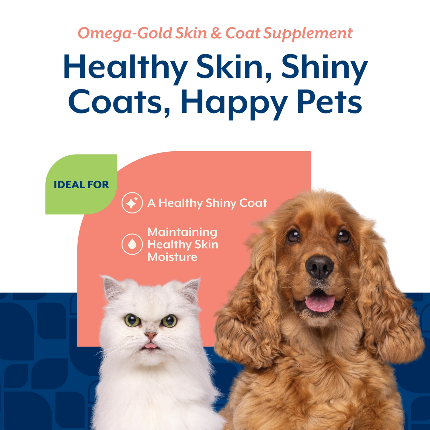 Naturvet Omega-Gold Plus Salmon Oil Skin & Coat Soft Chew Supplements For Dogs & Cats