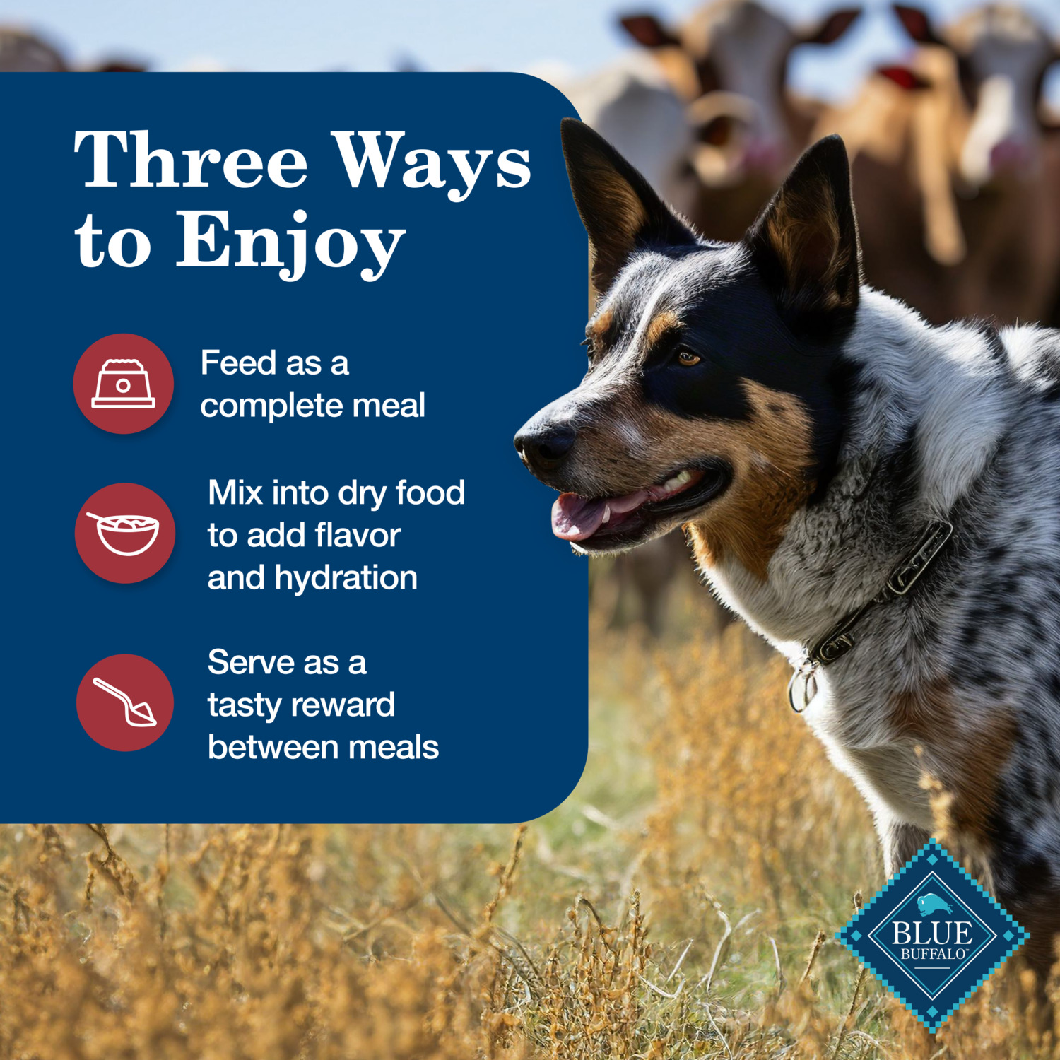 Blue Buffalo Homestyle Recipe Chicken & Beef Pate Wet Dog Food, Variety Pack - 12.5 Oz - Pack Of 6