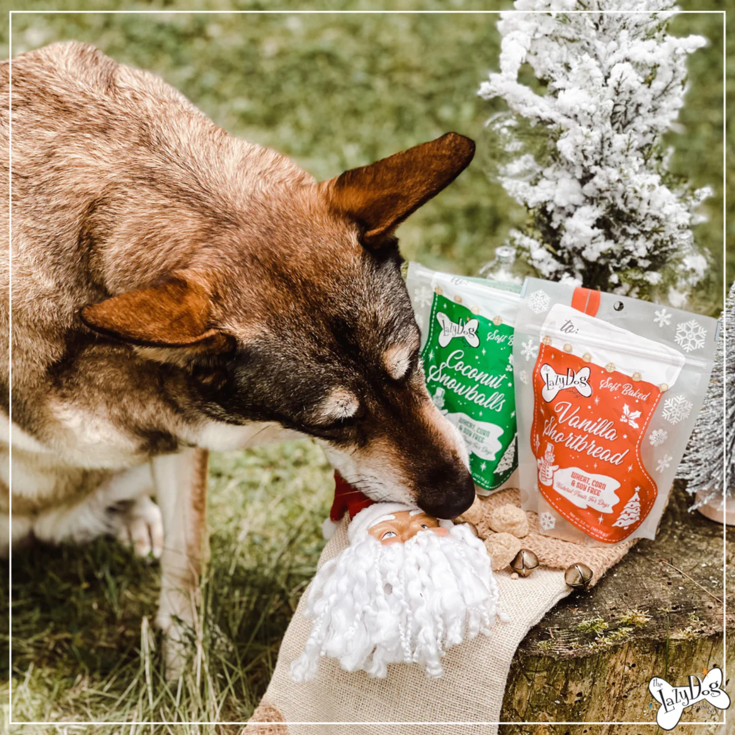 The Lazy Dog Cookie Co Coconut Snowballs Soft Baked Holiday Dog Treats