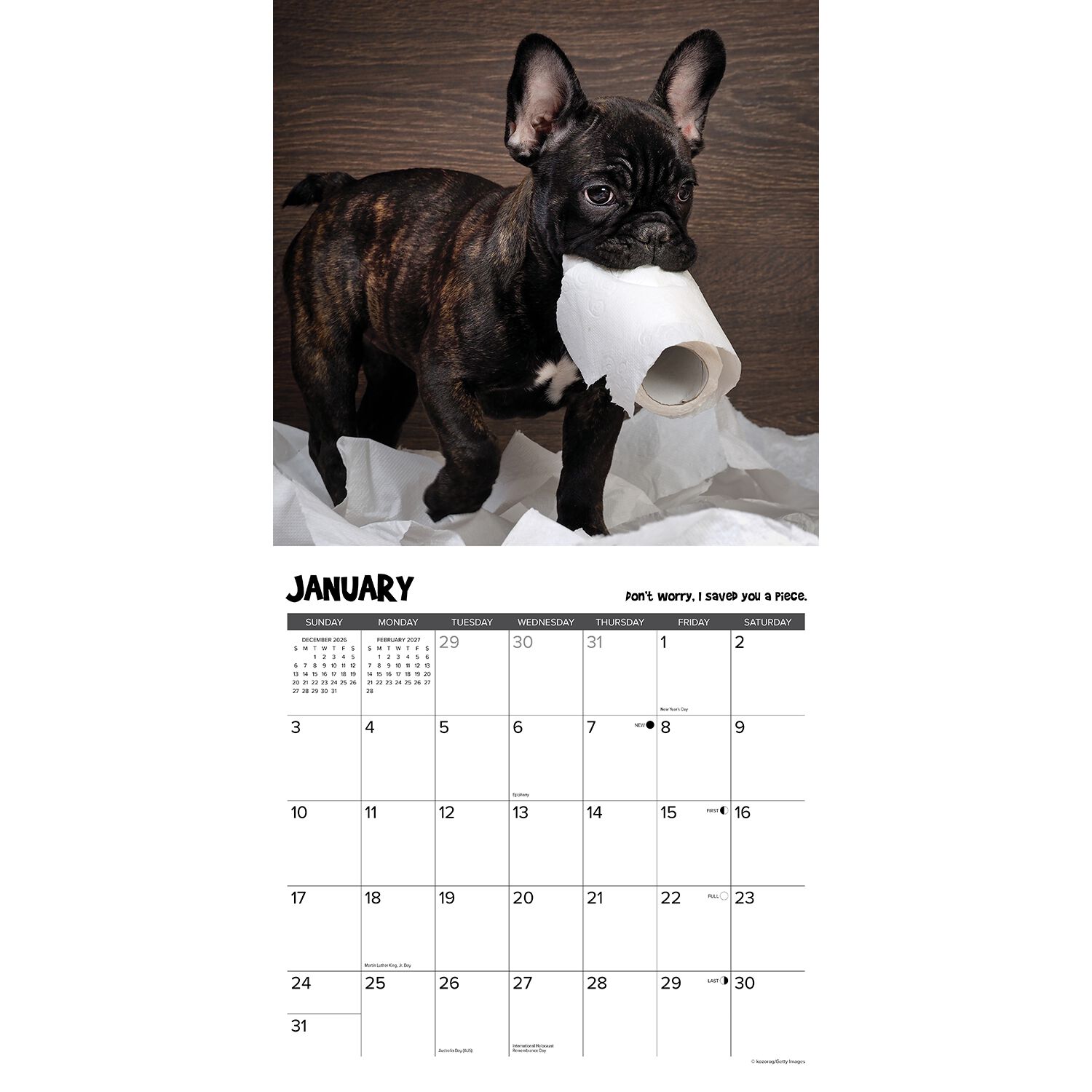 Willow Creek Press Pardon My Frenchie 2027 12" X 12" Wall Calendar
