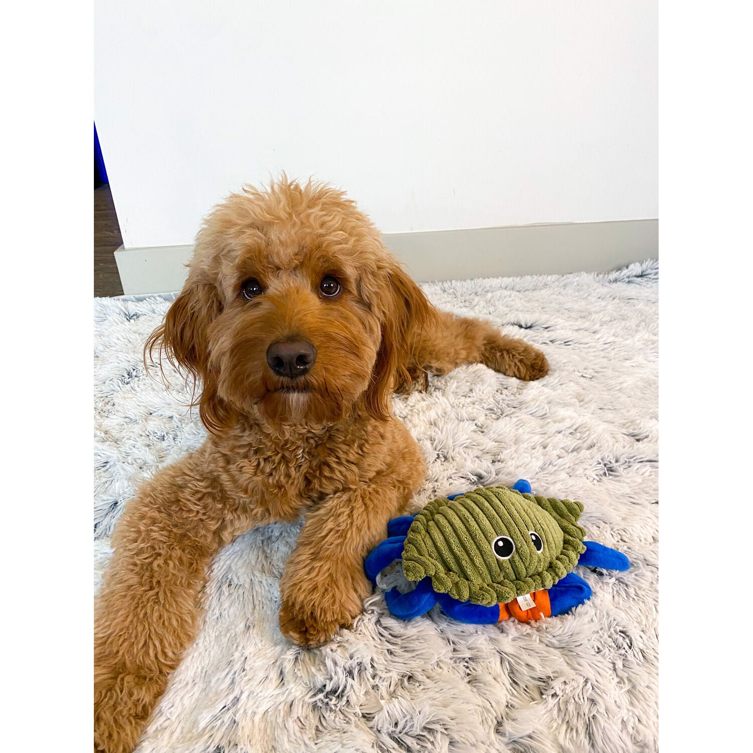 Tall Tails Animated Crab Interactive Dog Toy, 9"