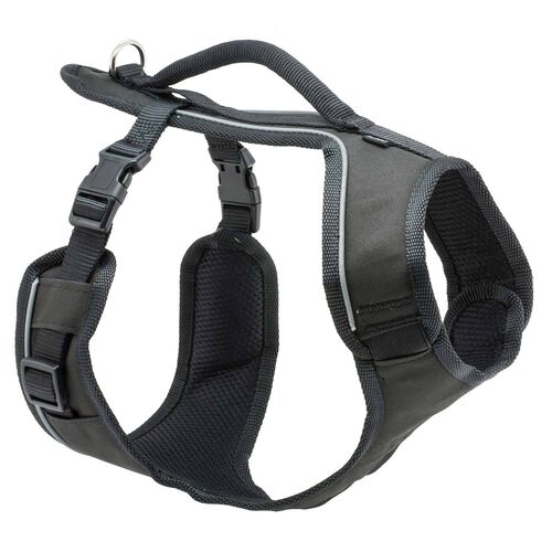 Pet Safe® Easy Sport Dog Harness, Black