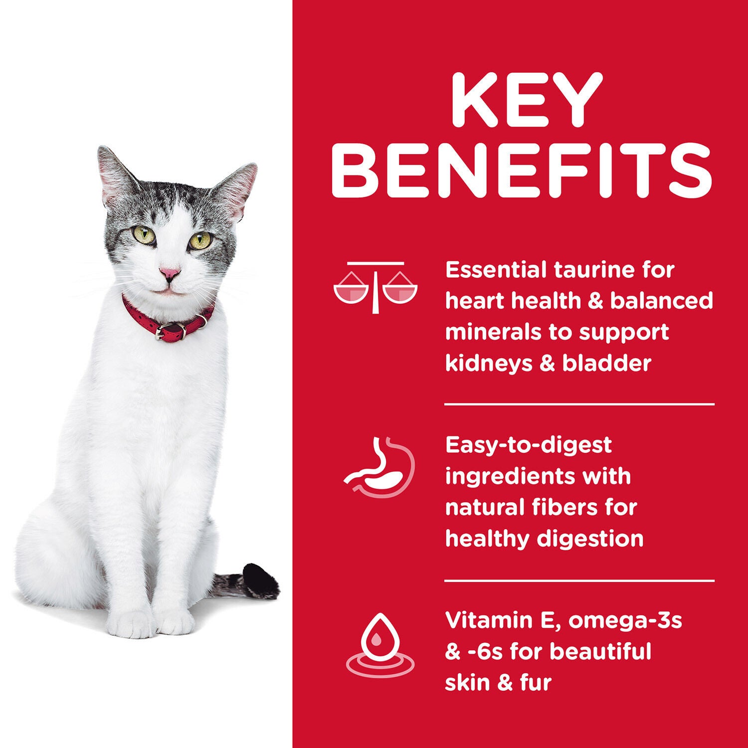 Hill's Science Diet Senior 11+ Chicken Recipe Dry Cat Food