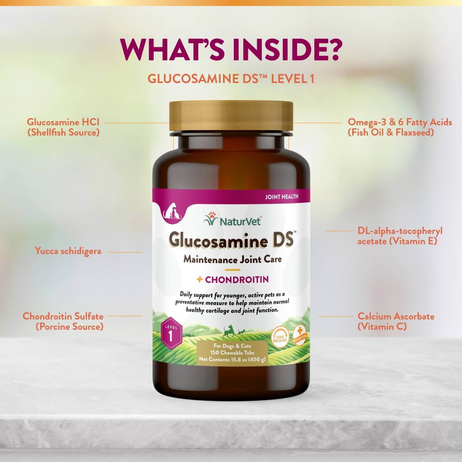 Naturvet Glucosamine Ds Level 1 Hip & Joint Maintenance Care Chewable Tabs For Dogs & Cats