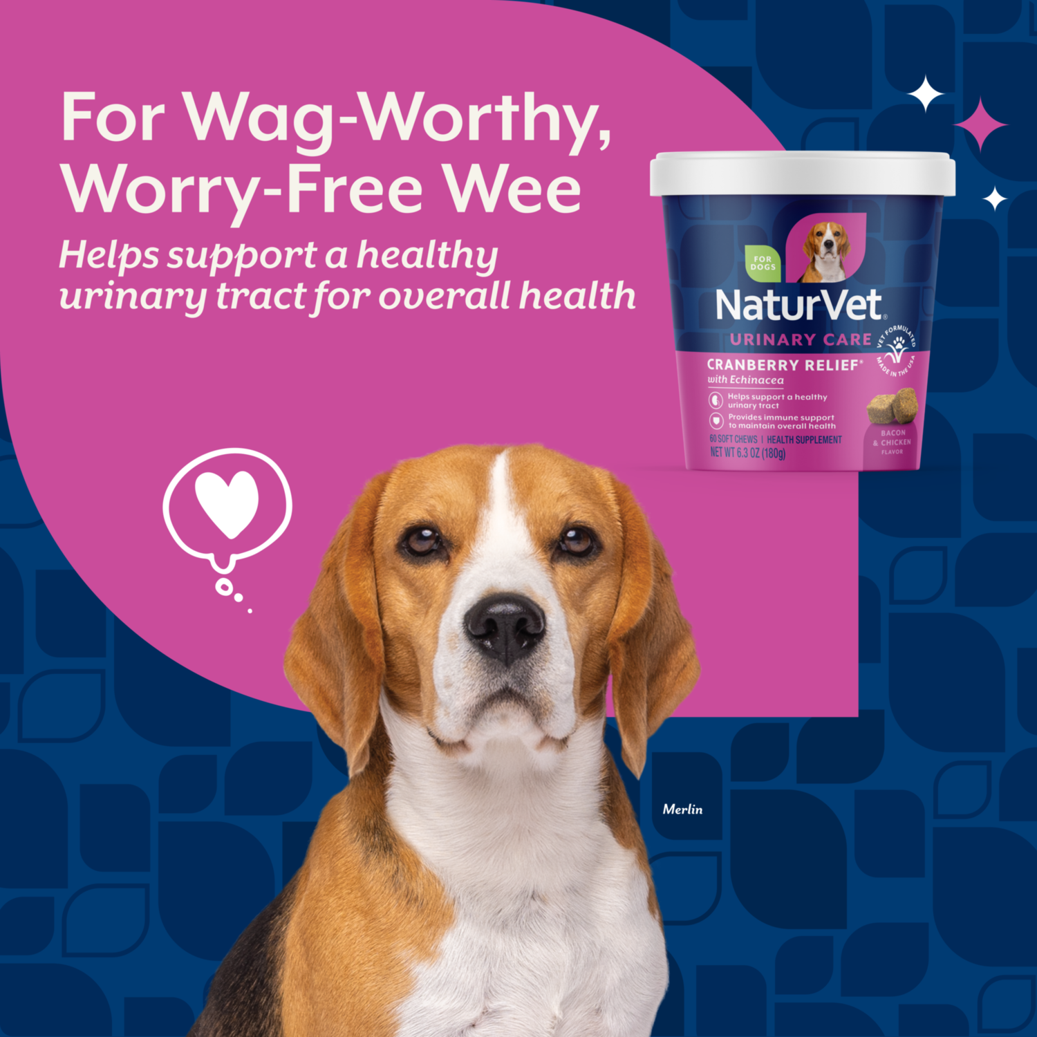 Naturvet Cranberry Relief Healthy Urinary Tract + Echinacea Soft Chew Supplements For Dogs