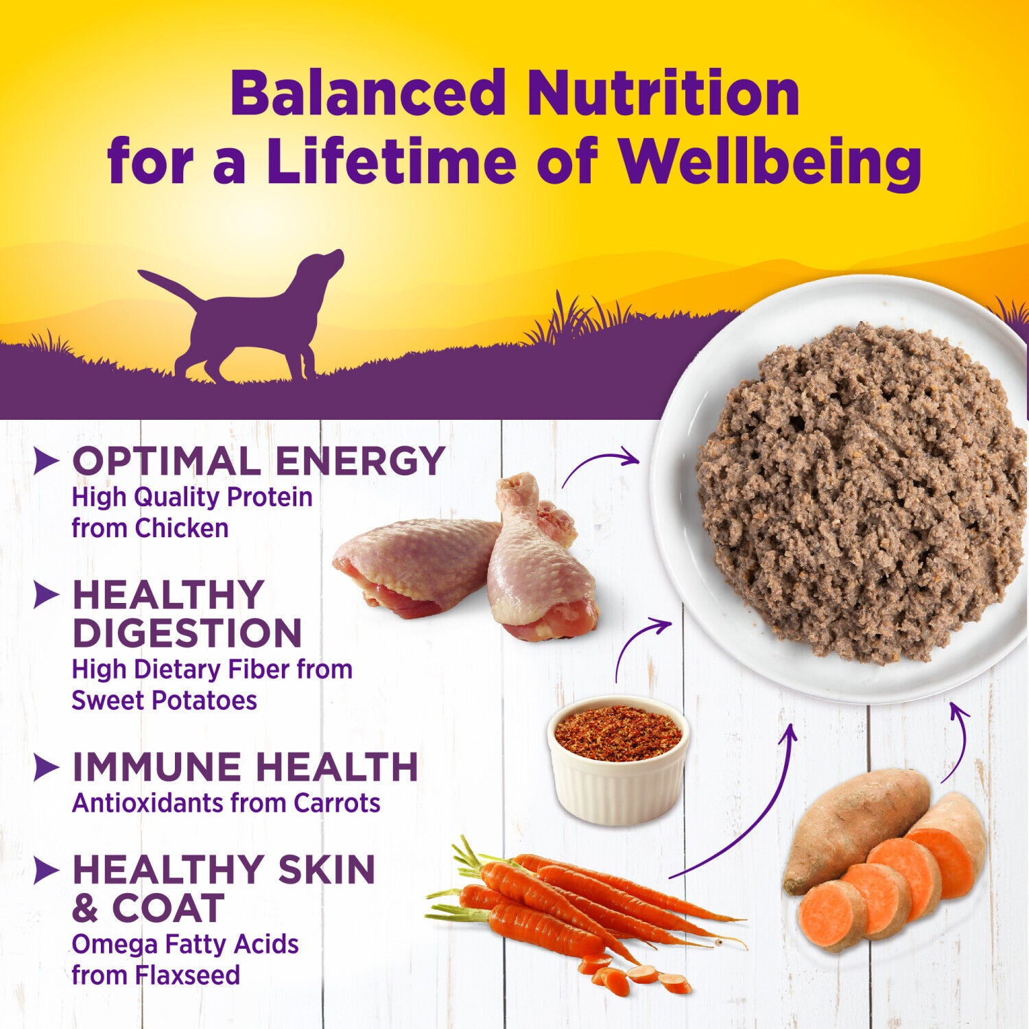 Wellness Complete Health Natural Wet Canned Dog Food, Chicken & Sweet Potato, 12.5-Ounce Can Pack Of 12