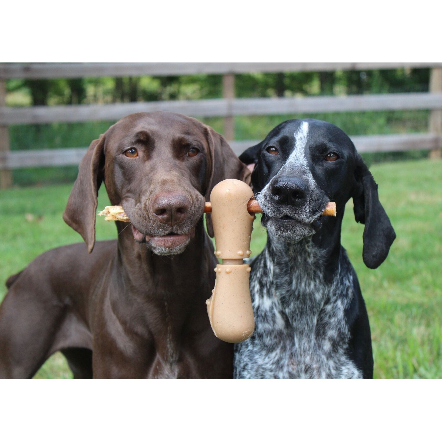 Tall Tails Bully Stick Holder & Dog Chew Toy, 7" Large