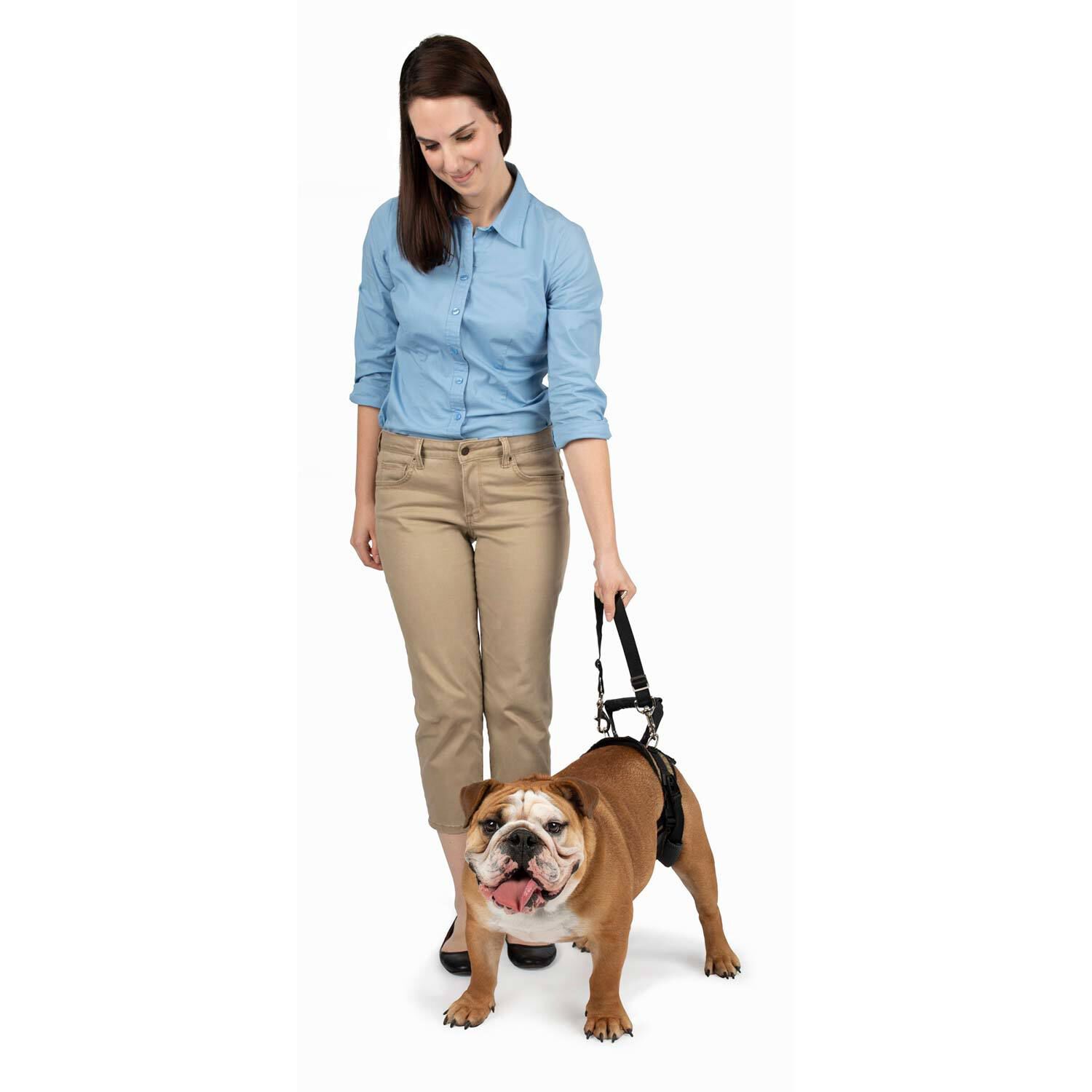 Petsafe Care Lift&trade; Rear Support Dog Harness