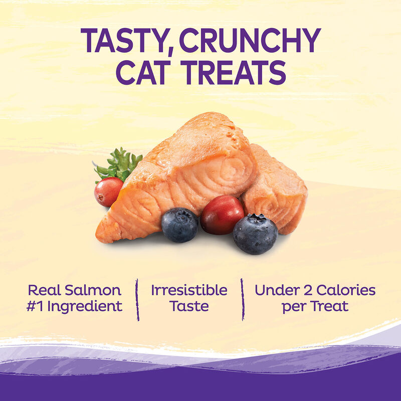 Kittles Salmon & Cranberries Recipe Cat Treats image number 2