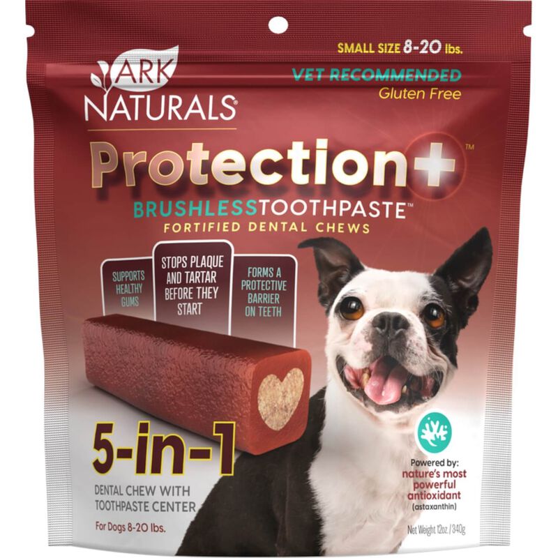 Protection+ Brushless Toothpaste Dental Chew Dog Treat image number 1