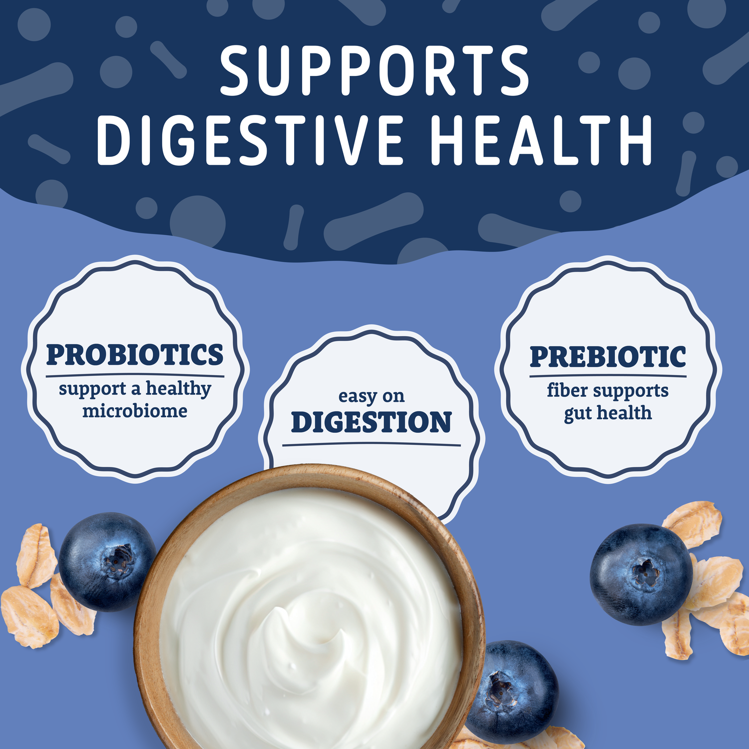 Natural Balance Yo-Gut Bites Biscuit Dog Treats, Oats & Blueberries With Greek Yogurt Drizzle, 10-Oz Bag