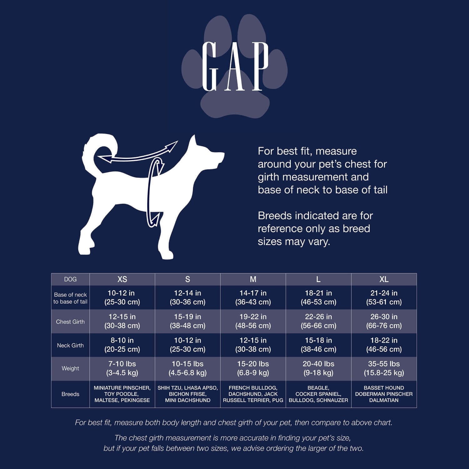 Gap Logo Blue Polo Dog Shirt