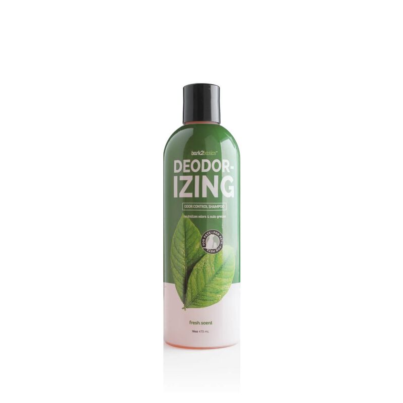 Deodorizing Shampoo 16 Oz