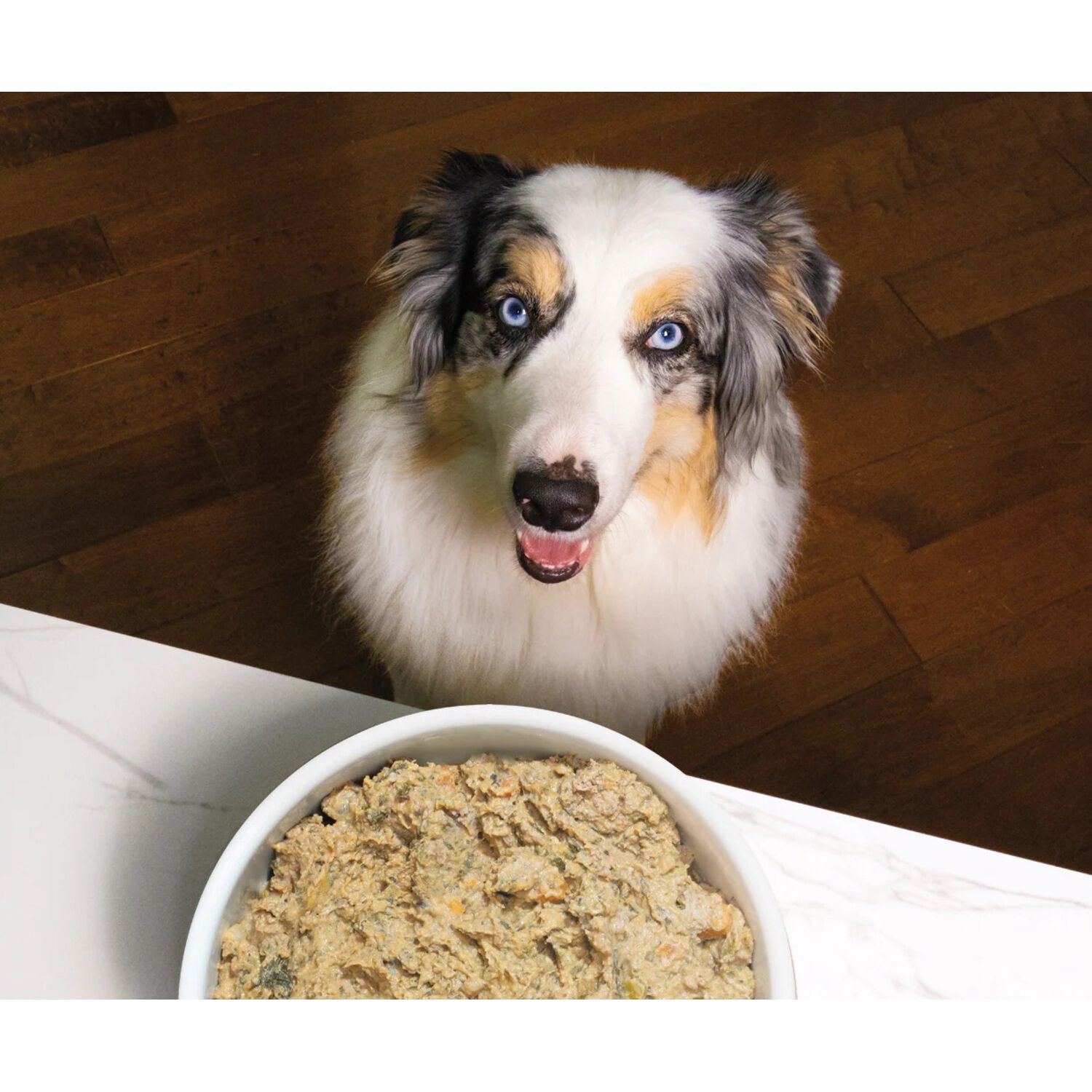 Open Farm Gently Cooked Grain-Free Grass-Fed Beef Recipe Frozen Dog Food, 16Oz