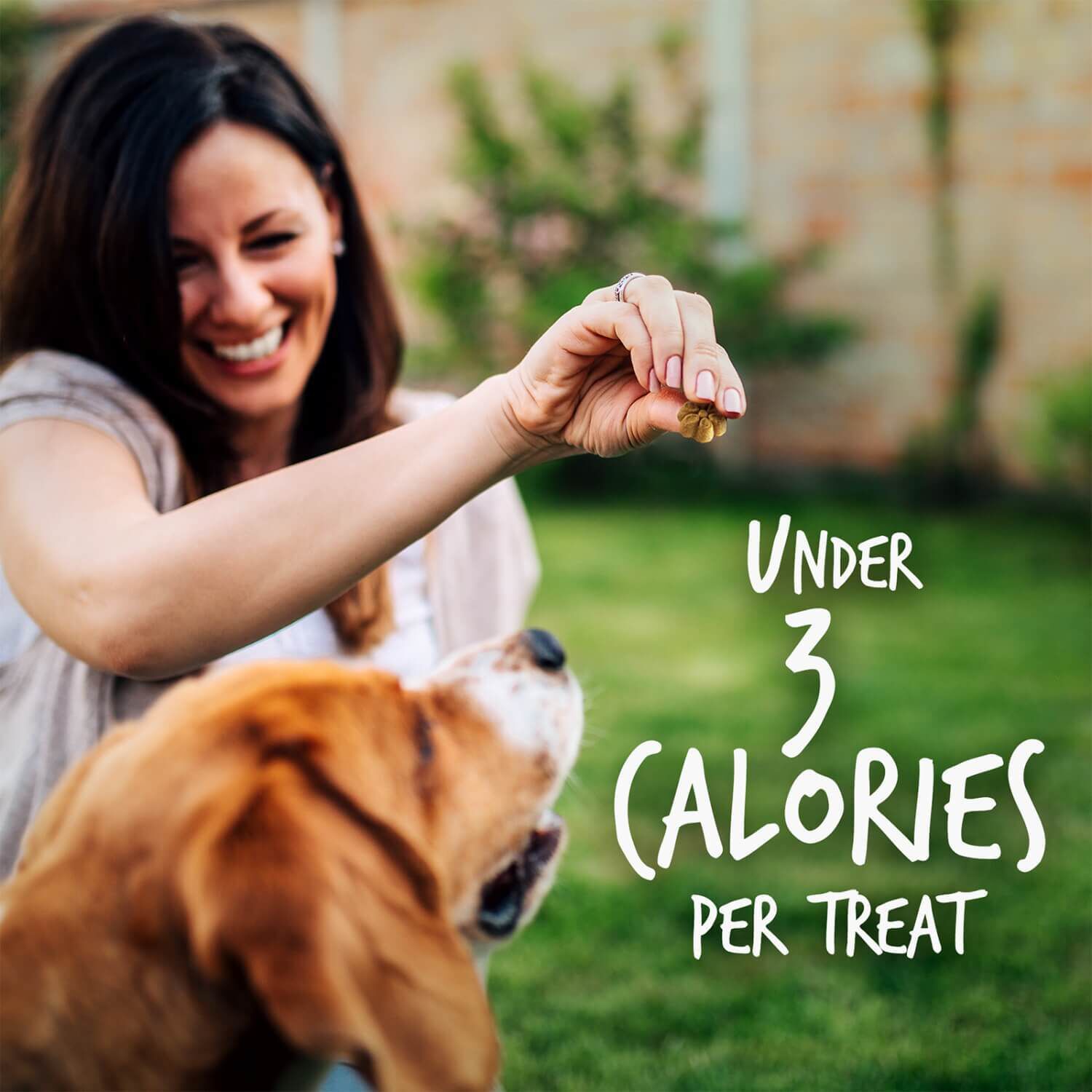 Fruitables Skinny Minis Grain Free Low Calorie Dog Treats, Pumpkin & Blueberry Flavor