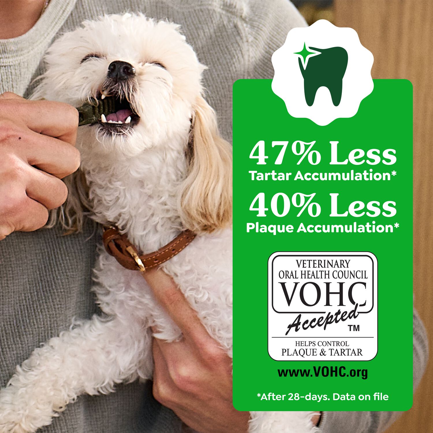 Greenies Petite Natural Original Chicken Flavor Dental Dog Treats, 60 Count