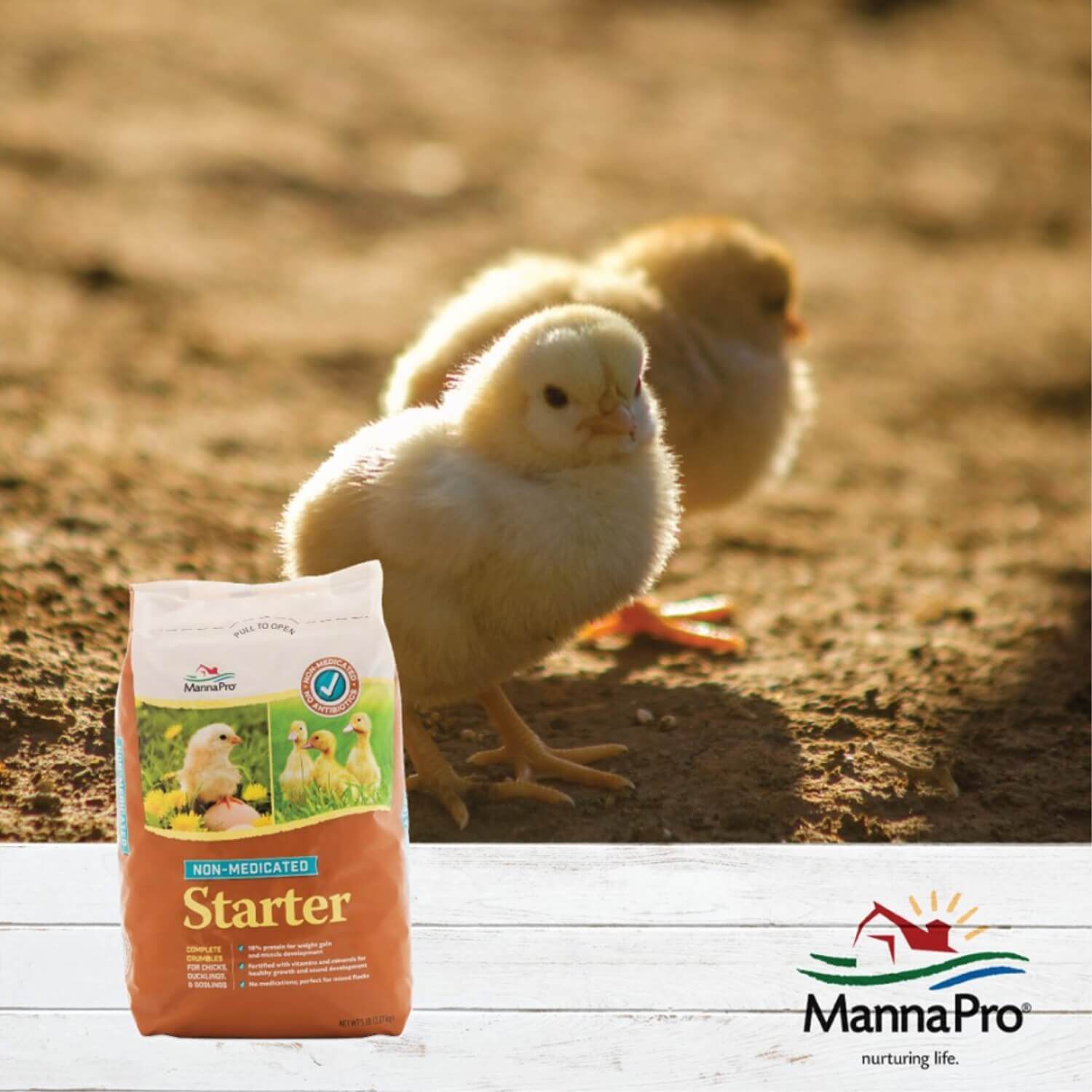 Manna Pro Chick Starter Grower Non-Medicated