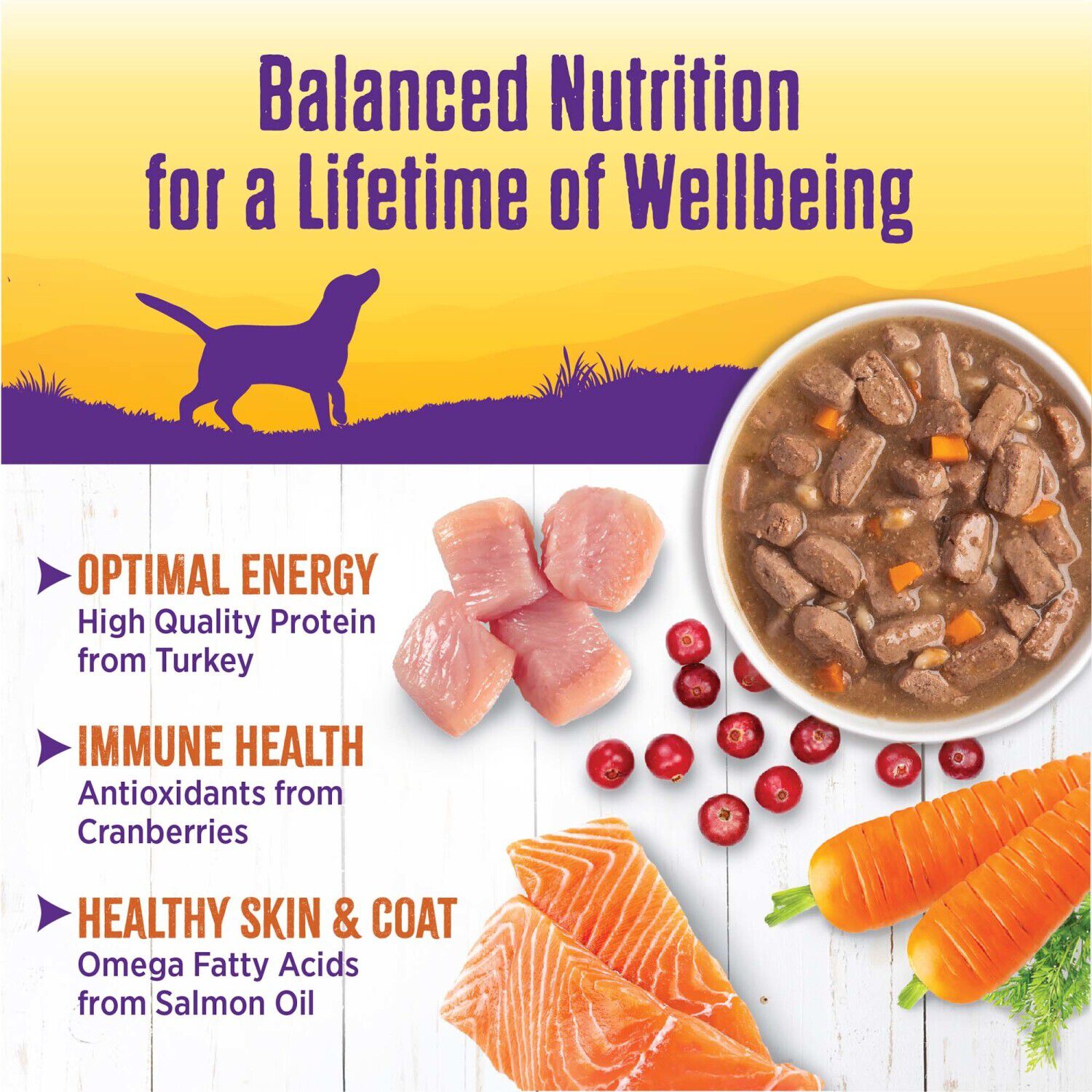 Wellness Complete Health Canned Wet Dog Food, Turkey Stew, 12.5-Ounce Can