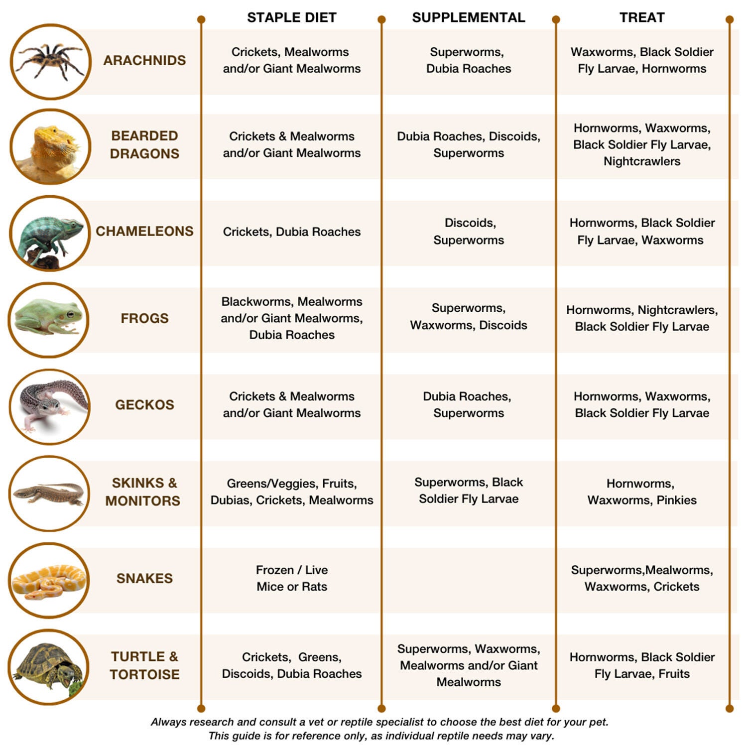 Live Crickets - Dozen Large