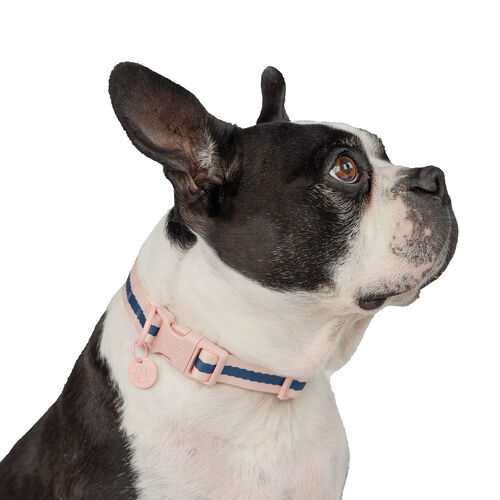 Gap Pink Striped Dog Collar