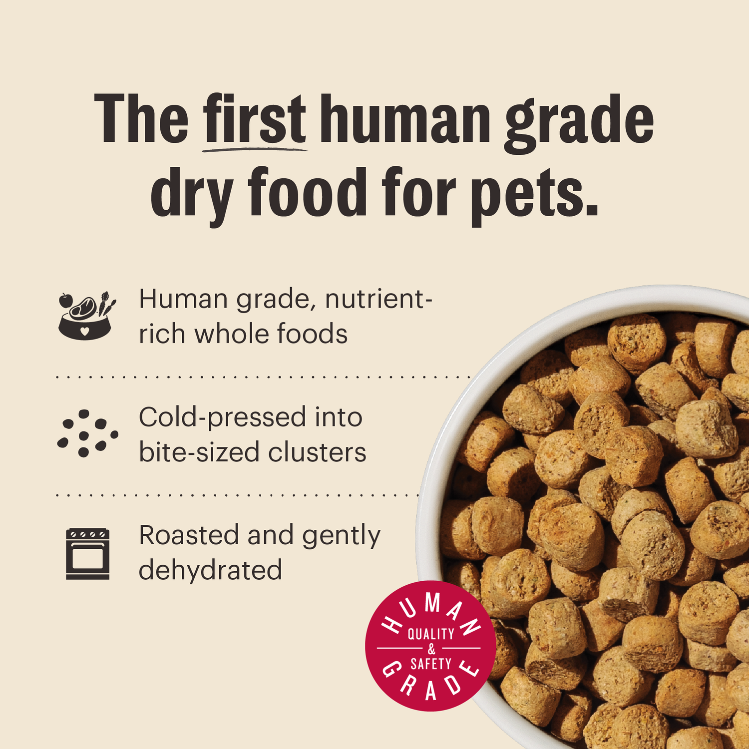 The Honest Kitchen Gourmet Whole Food Clusters Whole Grain Beef & Superfoods Recipe Dry Dog Food, 5-Lb