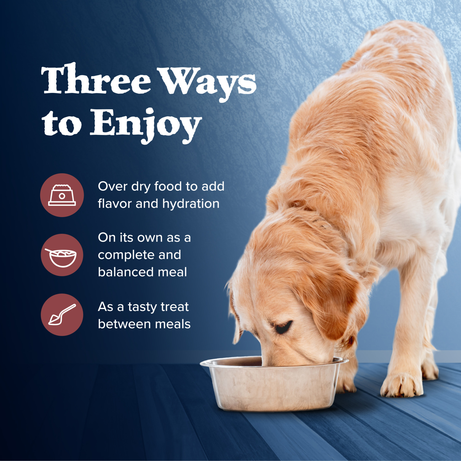 Blue Buffalo Wilderness Wolf Creek Stew Natural Wet Dog Food, Hearty Salmon Stew Recipe; 12.5-Oz