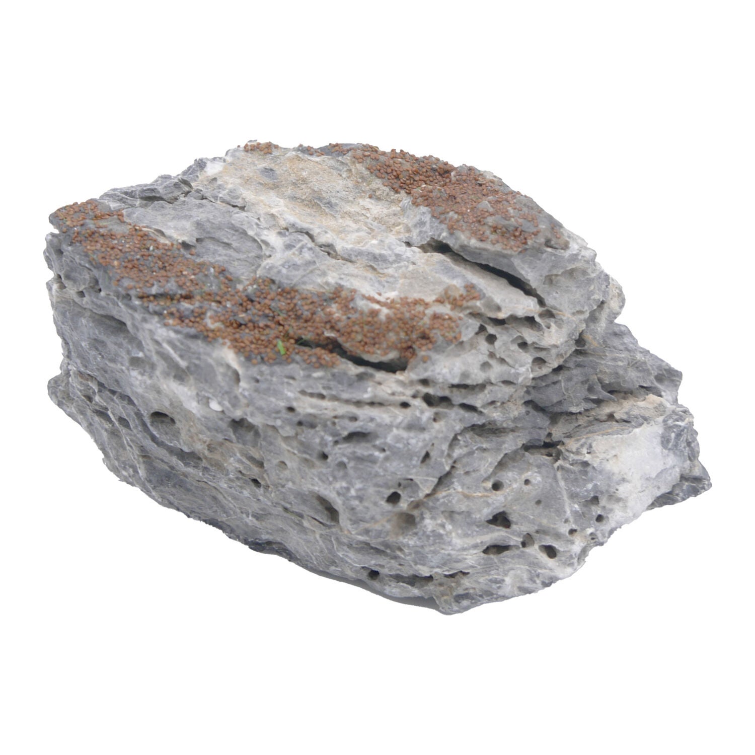 Penn-Plax Tide & Treasure Seiryu Stone Natural Aquarium Decor