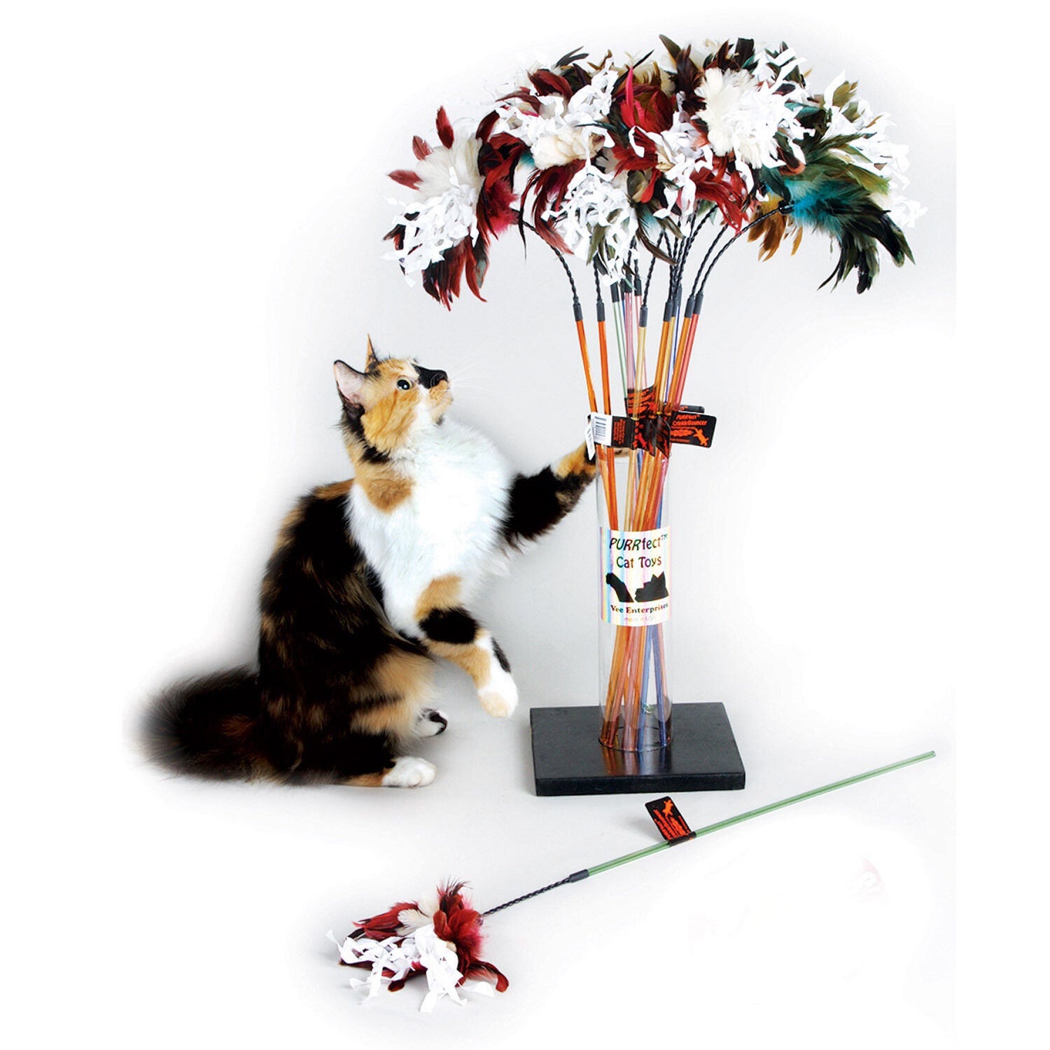 Crunchy cat outlet toys
