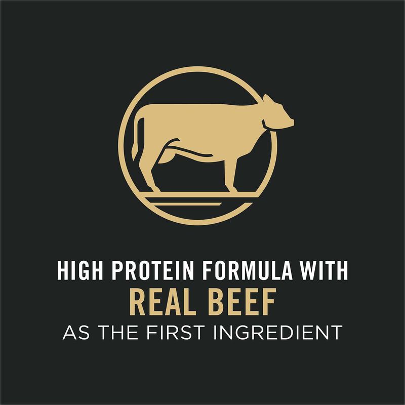 Savor Adult Shredded Blend Beef & Rice Formula image number 3