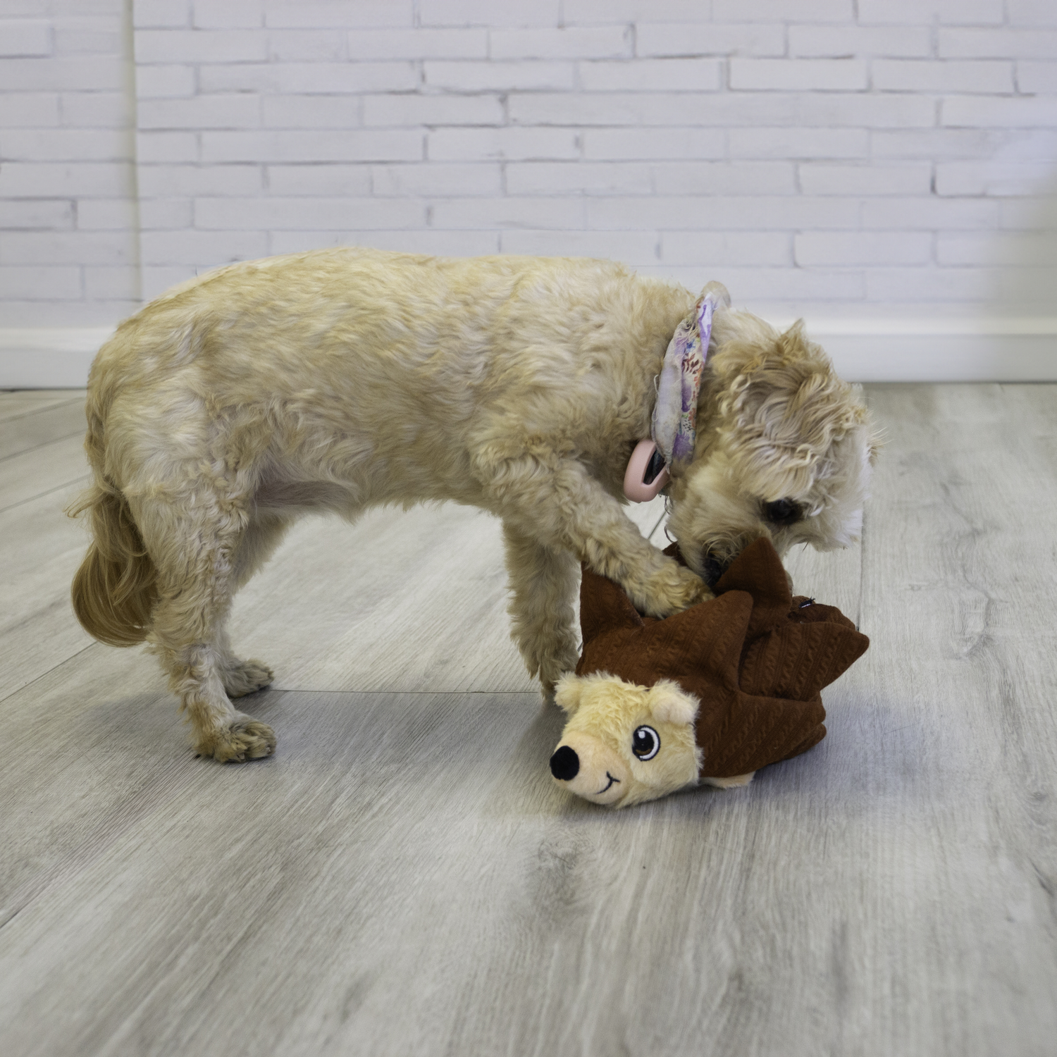 Kong Layerz Forage Hedgehog Interactive Foraging Mat Dog Toy, 8"