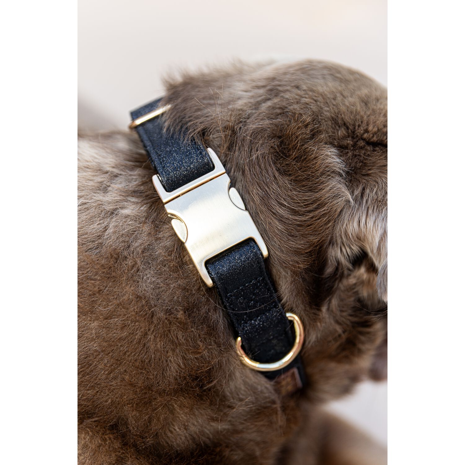 Pink Papyrus Black Glitter Sparkly Adjustable Dog Collar - Medium
