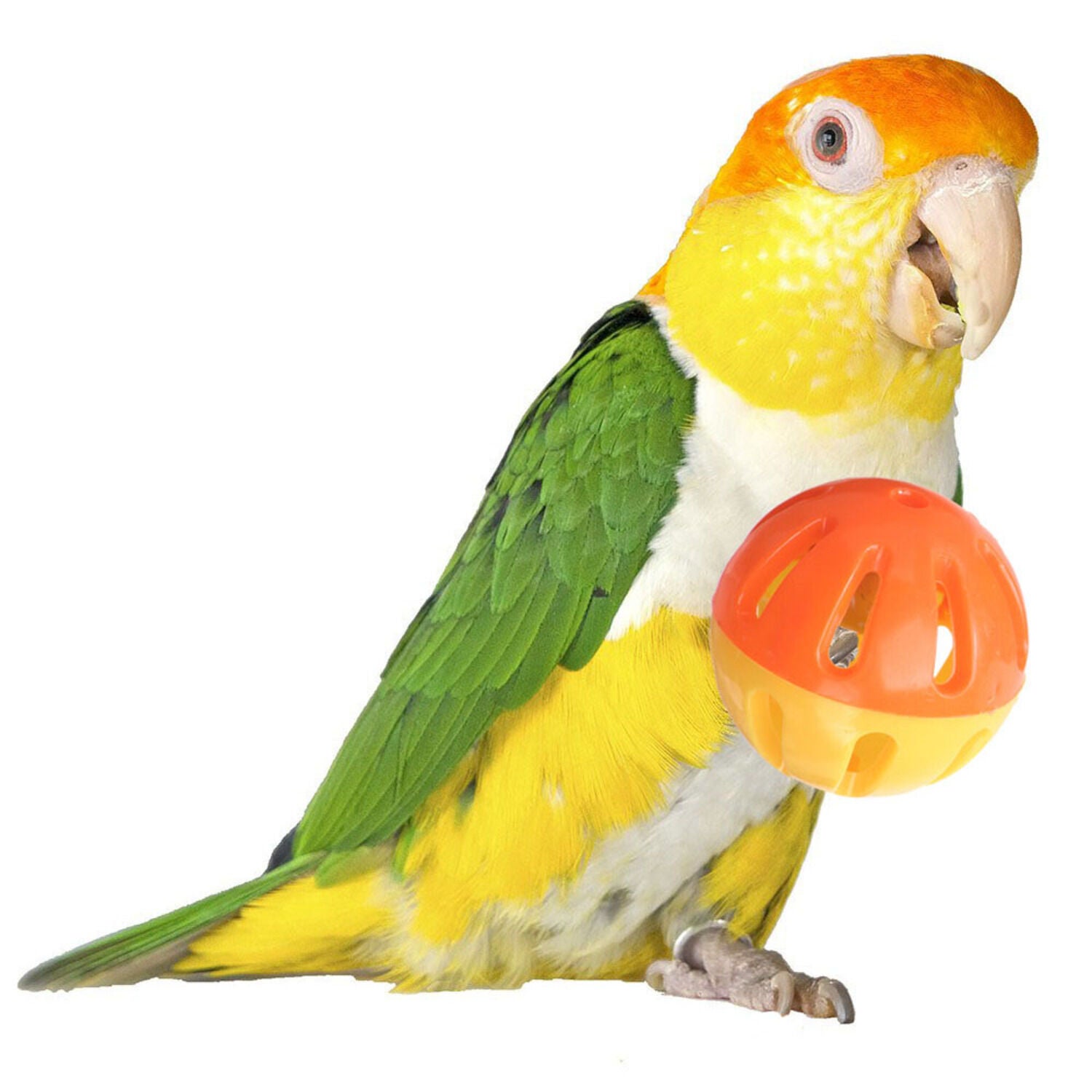 Super Bird Creations Birdie Balls Bird Toys, 2", 4-Pack