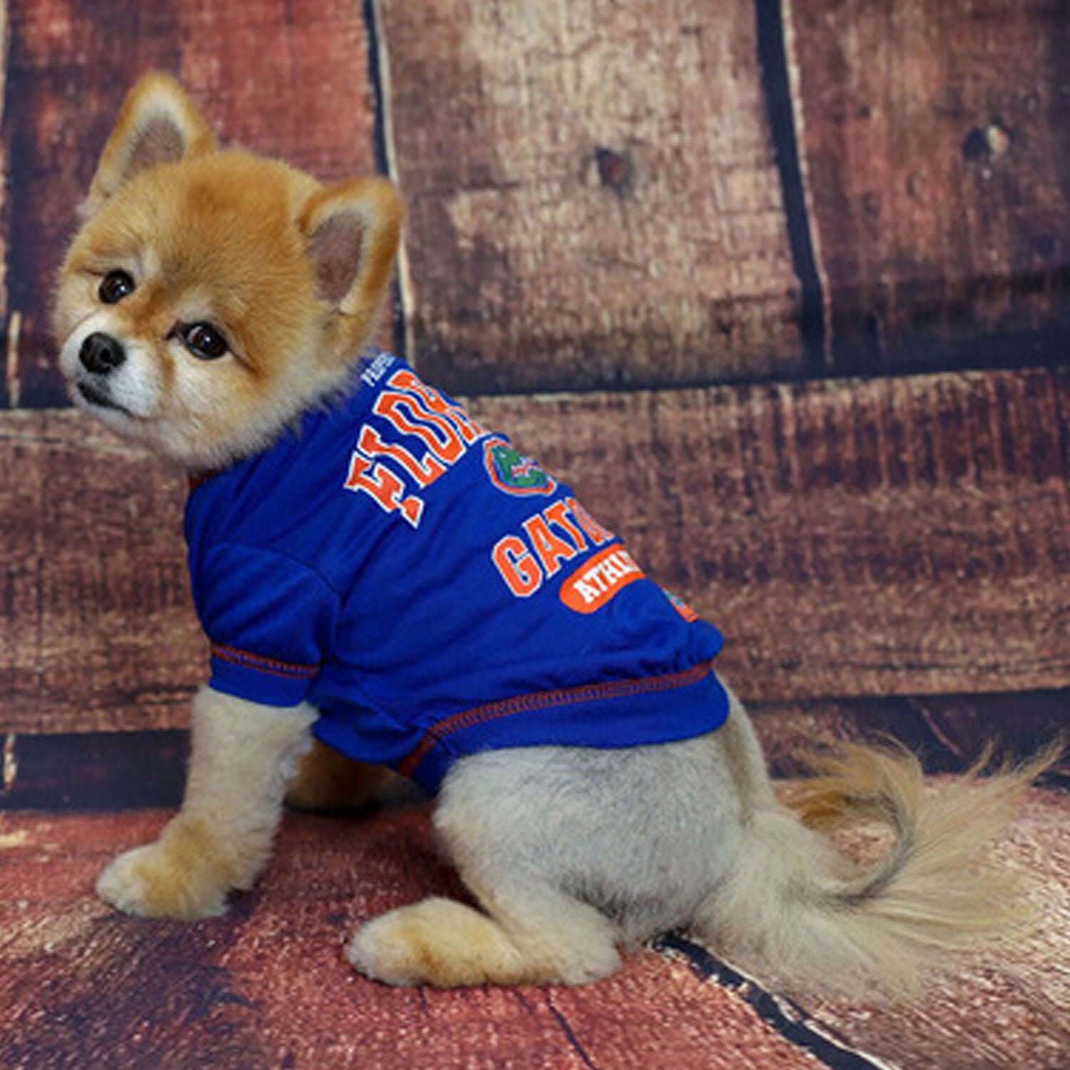 Pets First Ncaa Licensed University Of Florida Gators Dog Shirt, Extra Large