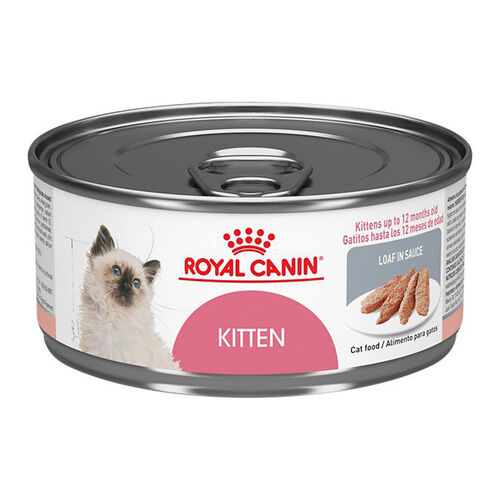 Kitten Loaf In Sauce Cat Food