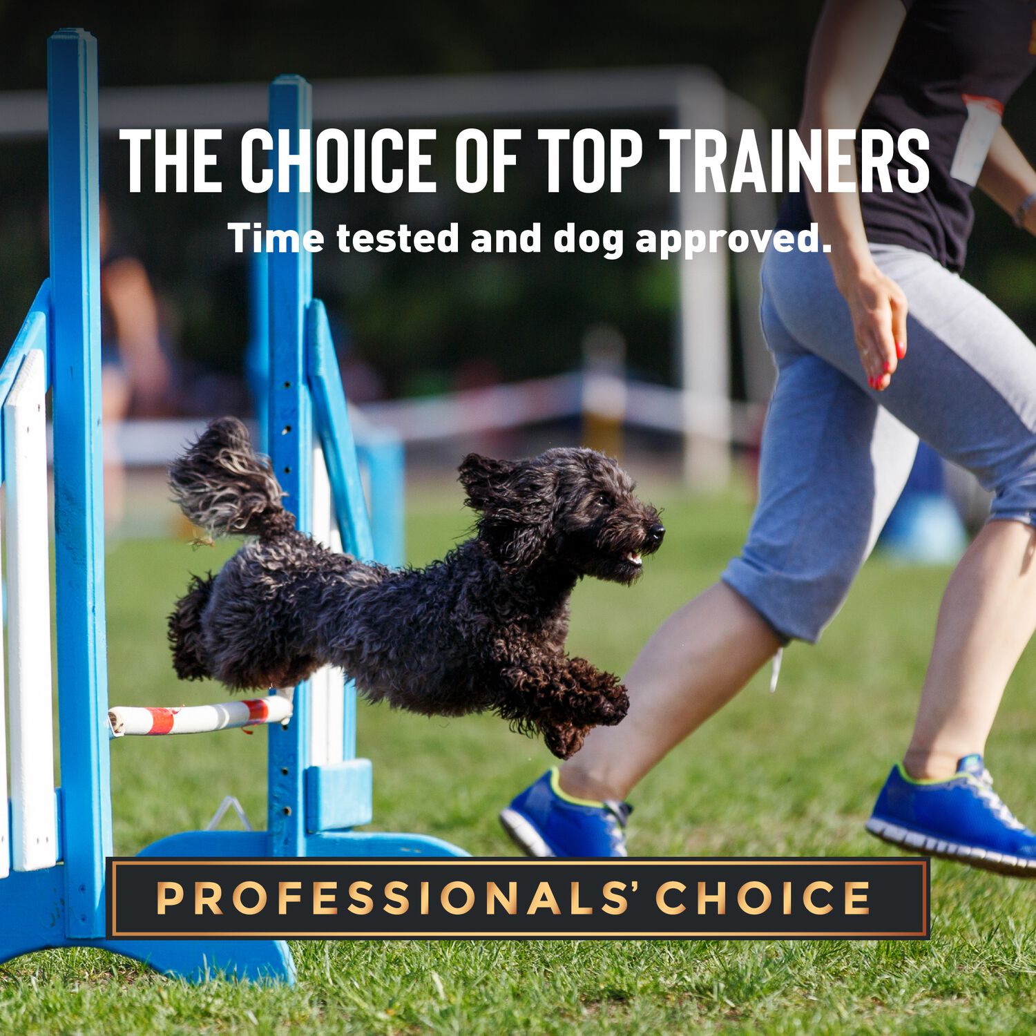 Tricky Trainers Mini Soft & Chewy Training Bites Dog Treats, Liver, 5-Oz