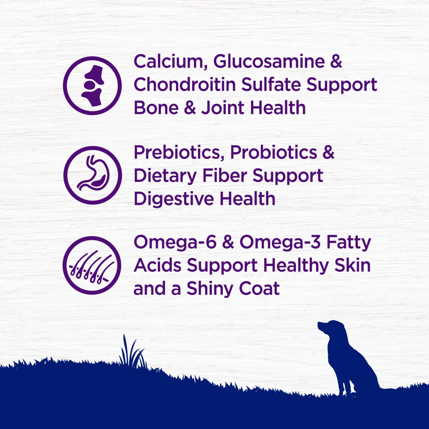 Wellness Complete Health Dry Dog Food, Large Breed, Wholesome Grains, Natural, Chicken & Brown Rice Recipe, 30-Pound Bag