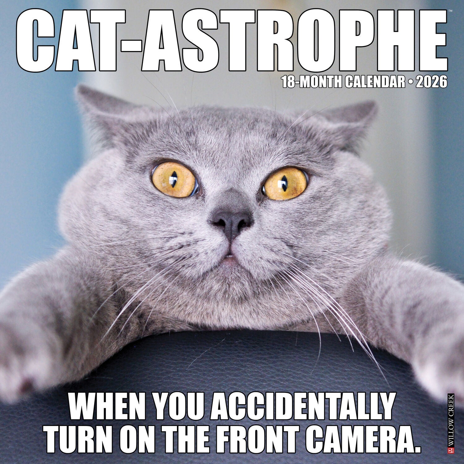 Willow Creek Press 2026 Cat-Astrophe Wall Calendar