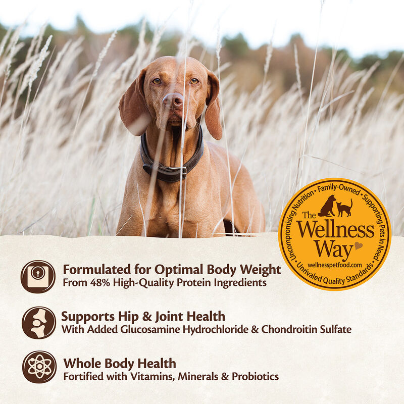 Wellness Core Large Breed Chicken, Chicken Meal & Turkey Meal Recipe Dog Food