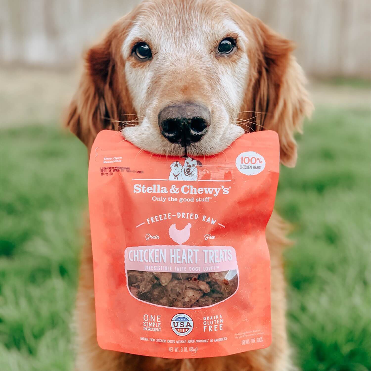 Dog Treats Stella And Chewy Freeze Dried Raw Dog Food Stella