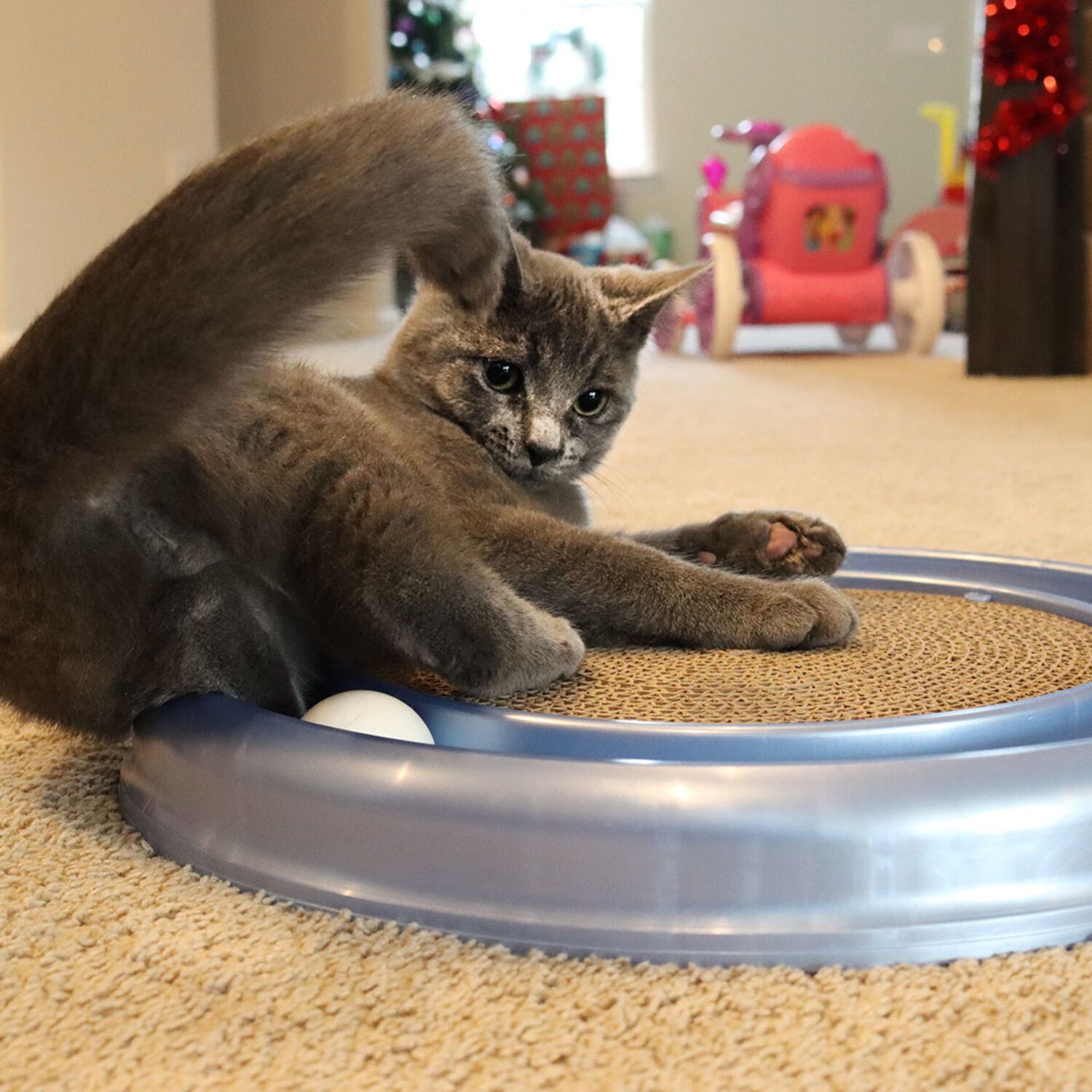 Bergan Turbo Scratcher Cat Toy, Assorted Colors