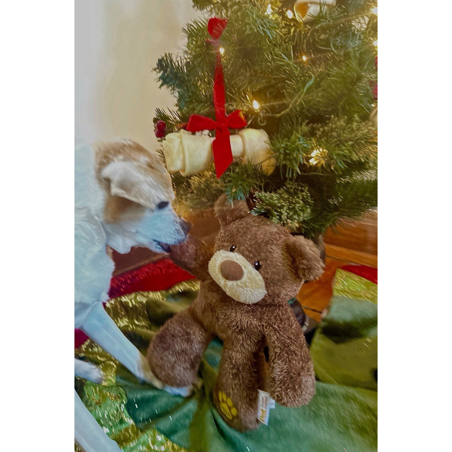 Pet Supermarket 2025 Charity Bear Plush Squeaky Dog Toy, 12"