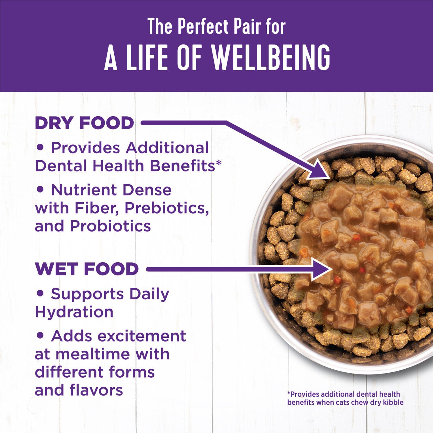 Wellness Complete Health Gravy Adult Wet Cat Food, Natural, Protein-Rich, Grain Free, 3 Ounce , Chicken Dinner