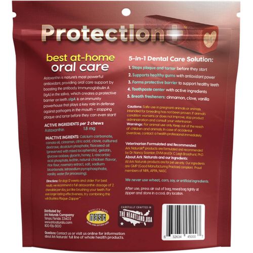 Protection+ Brushless Toothpaste Dental Chew Dog Treat