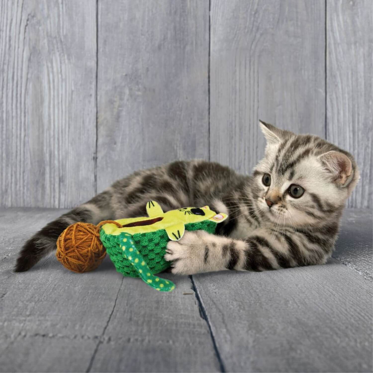 Kong Wrangler Soft Crinkly Avo-Cat-O Cat Toy